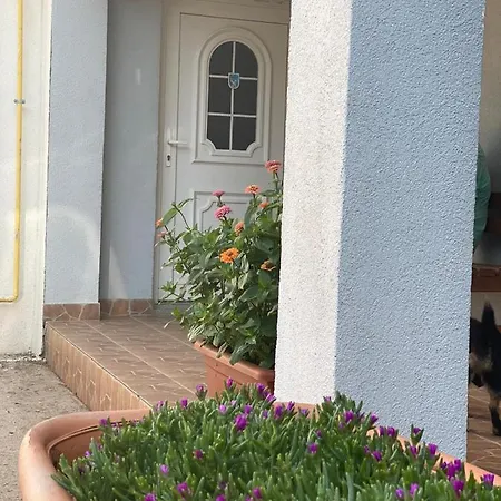 Bed & Breakfast Maca I Ante Pavlovic