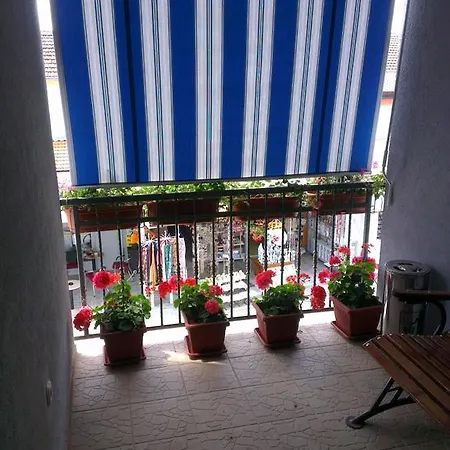 Maca I Ante Pavlovic