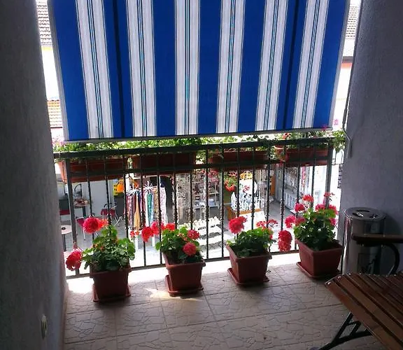 Maca I Ante Pavlovic